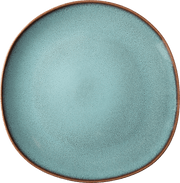 Lave glace Flat plate