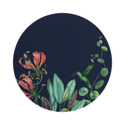 Avarua Flat plate 2