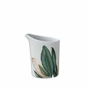 Avarua Creamer 6 pers