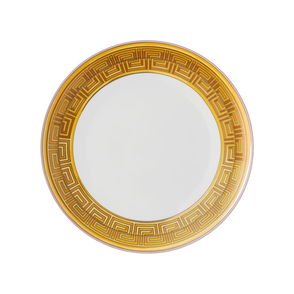 Luxury Versace Medusa Amplified Pink Coin Dinner Plate 28 cm â€“ Designer Porcelain
