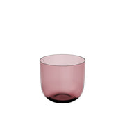 Villeroy & Boch Like Grape luxury crystal water glass set 2 pcs grape color 200ml