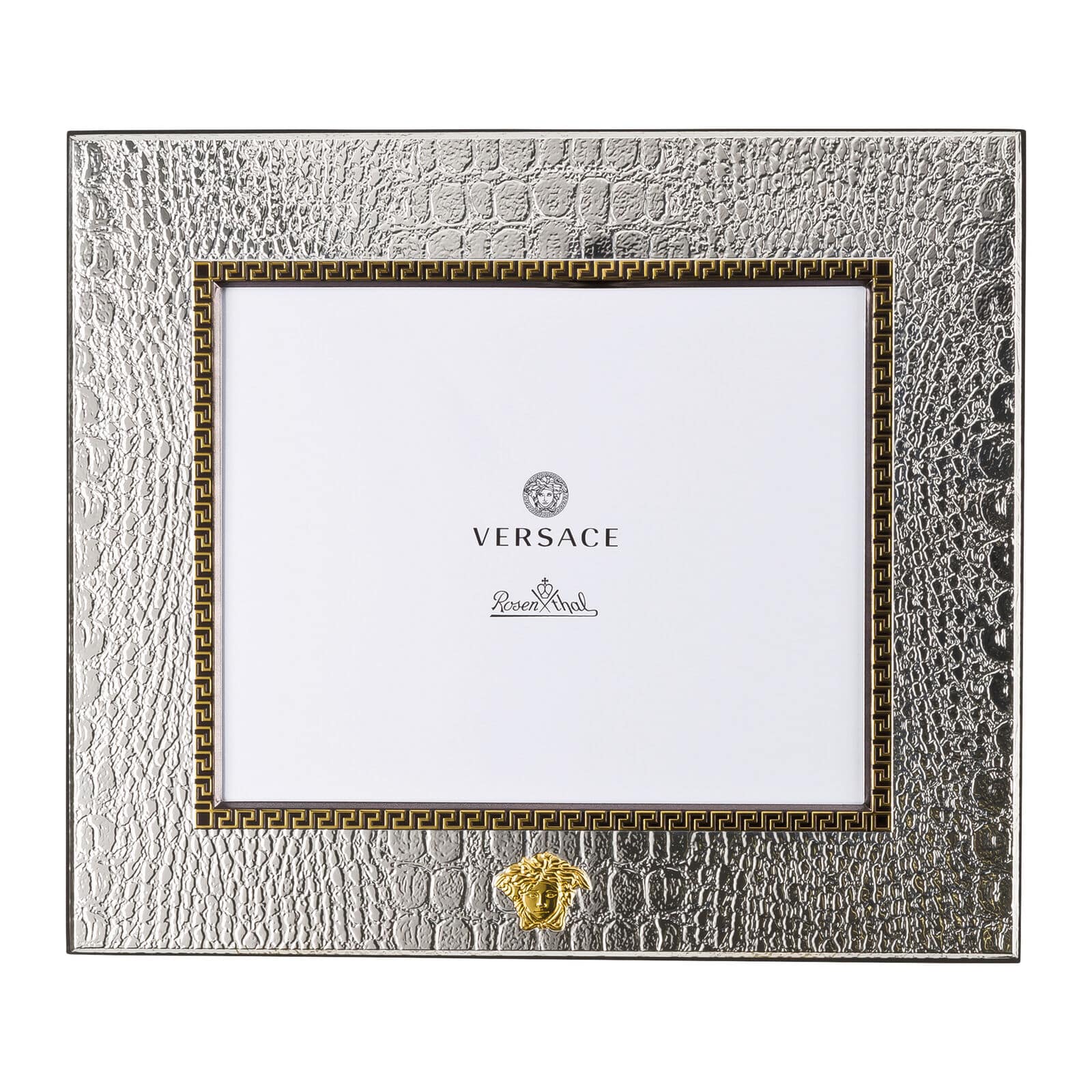 VHF3-Silver Picture Frame20x25