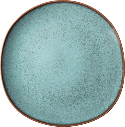 Lave glace Flat plate